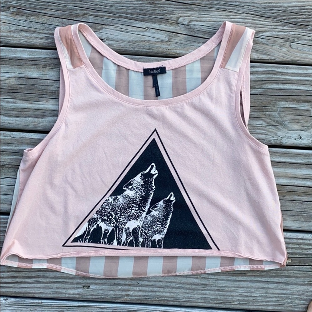 Pac Sun Nollie crop top